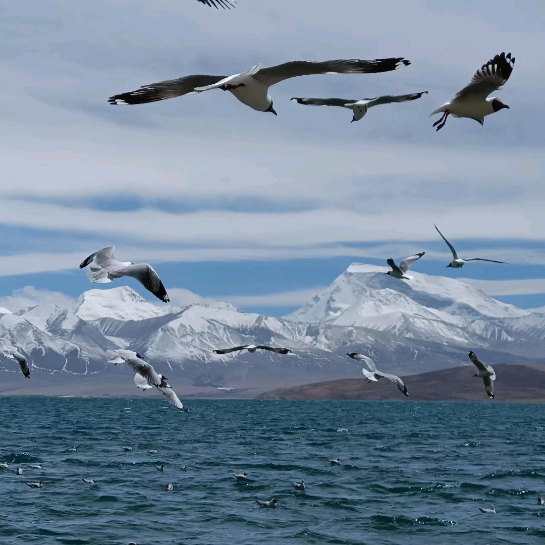 🐯余生有你🐰