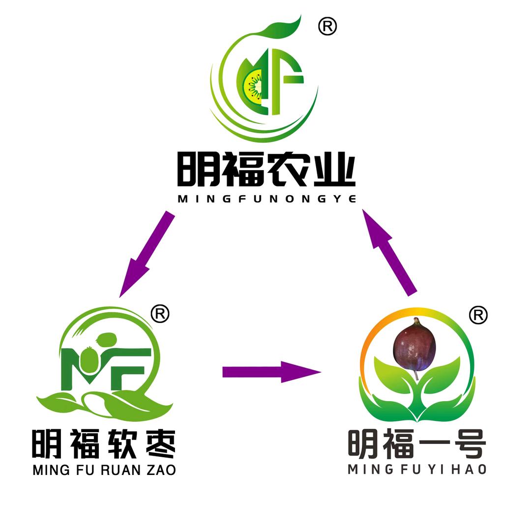 源客行花枝恋果树苗木专卖店