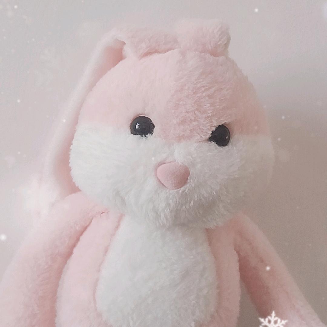小小苏🍓