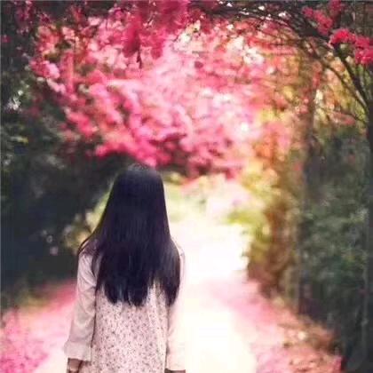 平静如水头像