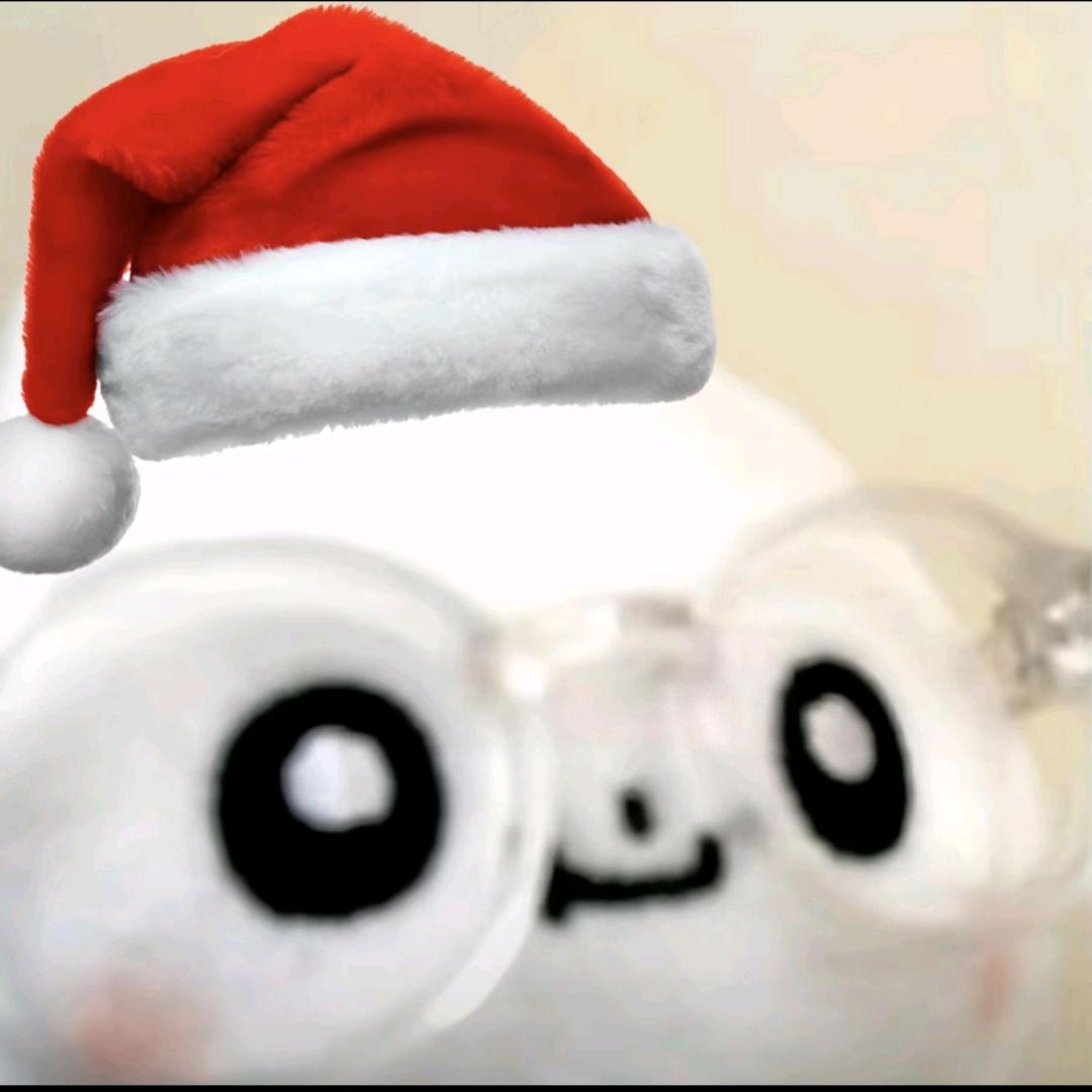 执行人