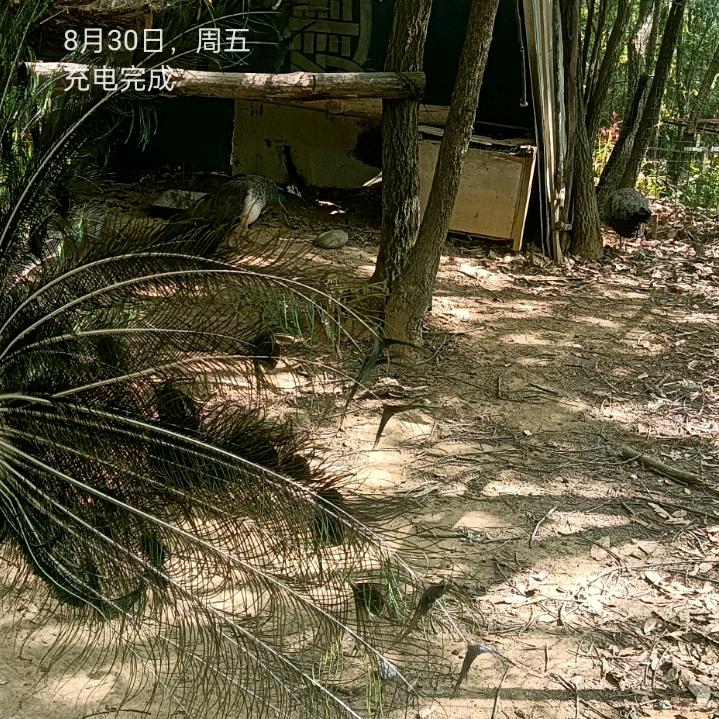 中华大地