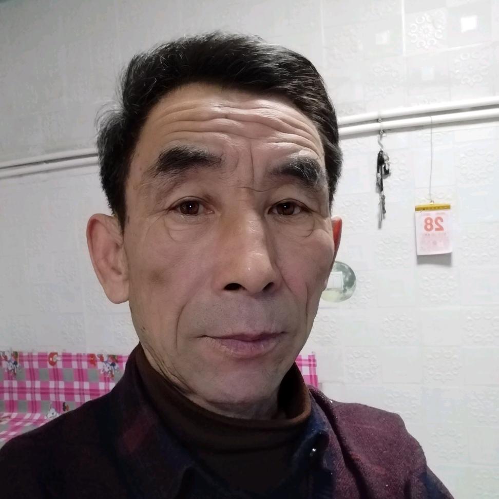 苗木歌