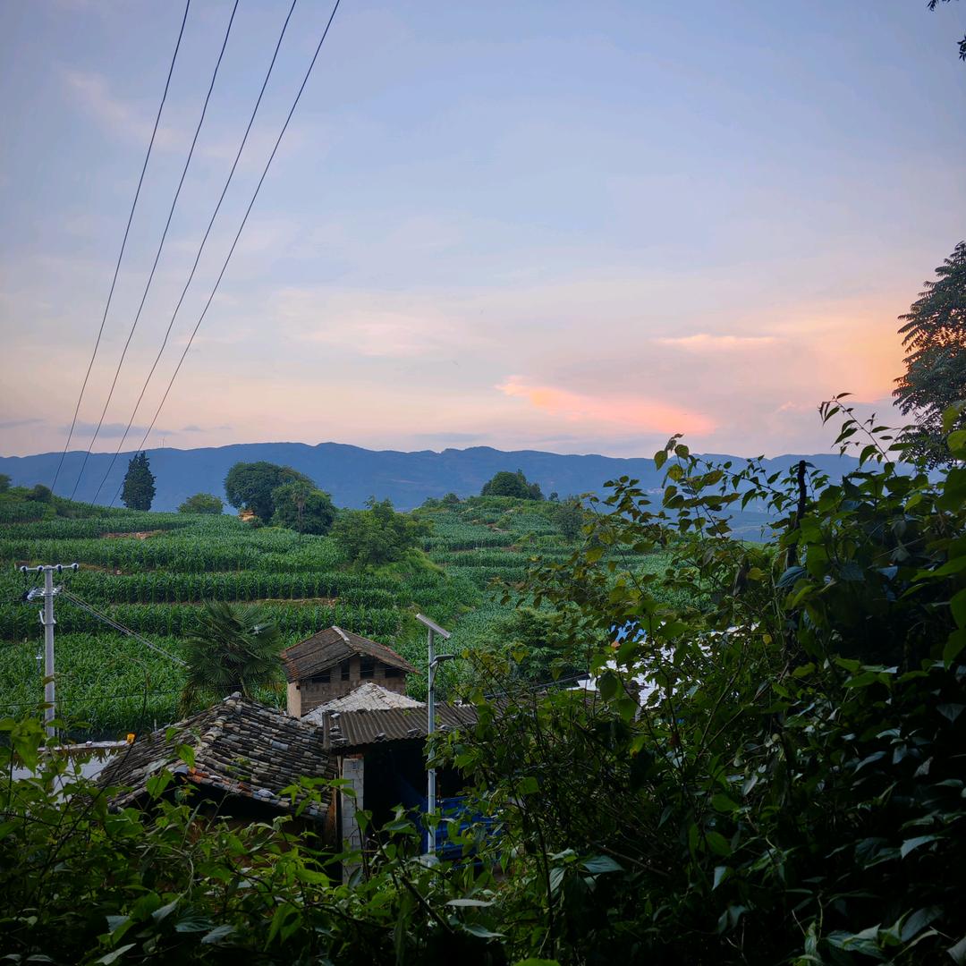 甜过初恋(香香茉莉花版)