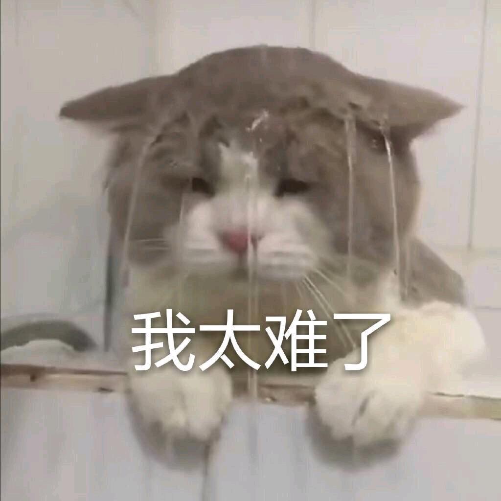 慢诉