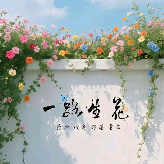 ✨✨✨不期而遇