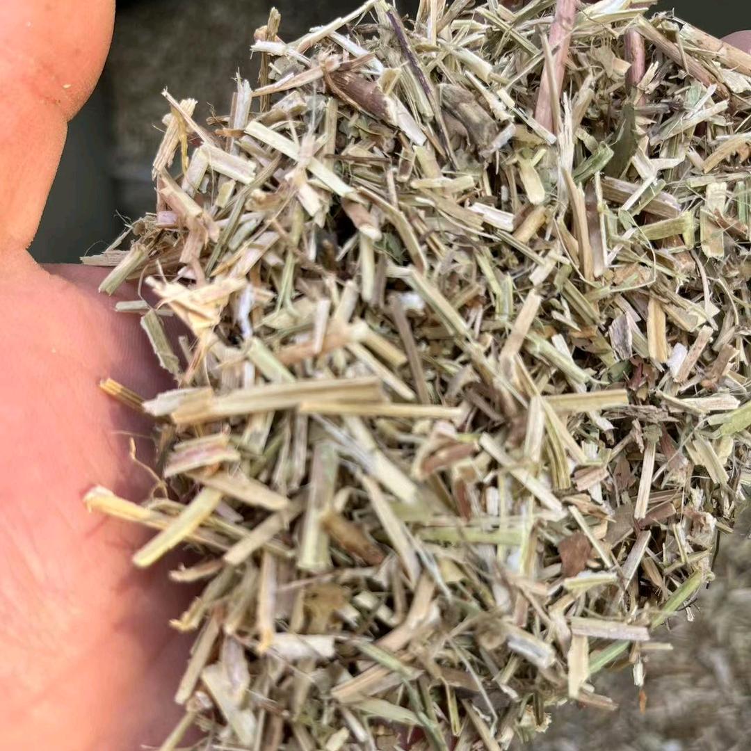 常年收购花生秧