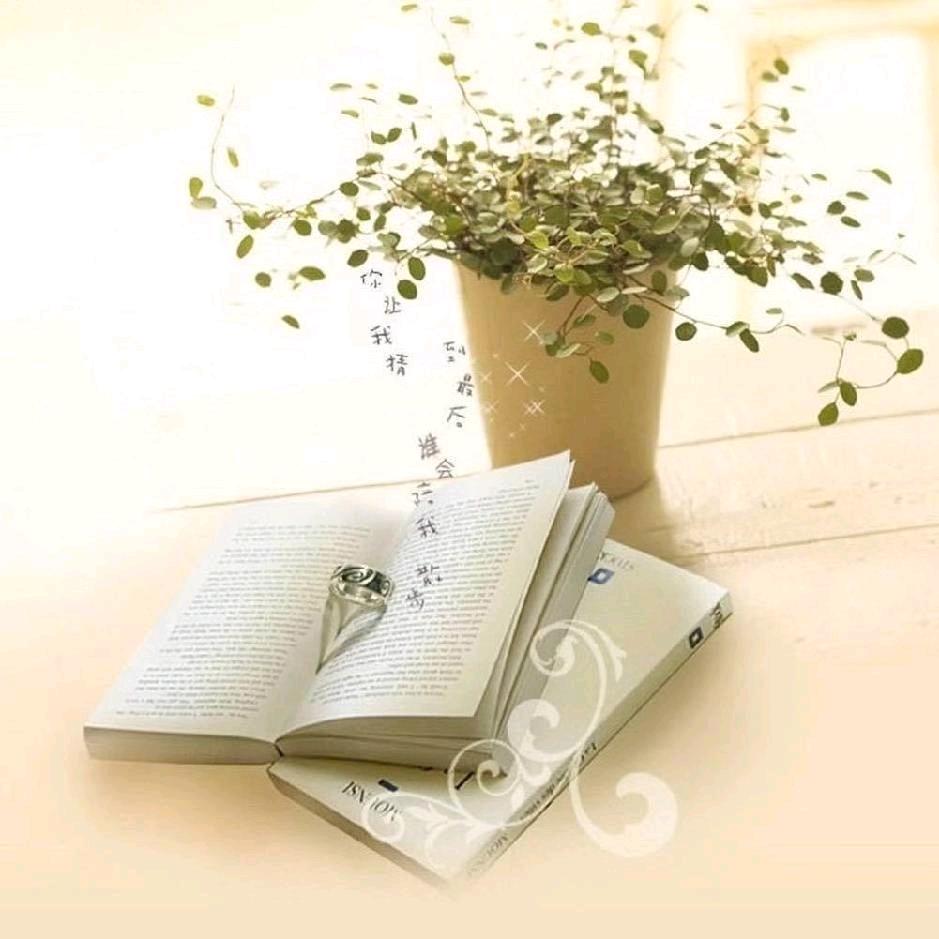 红太阳☀🎤《橱窗有好物》