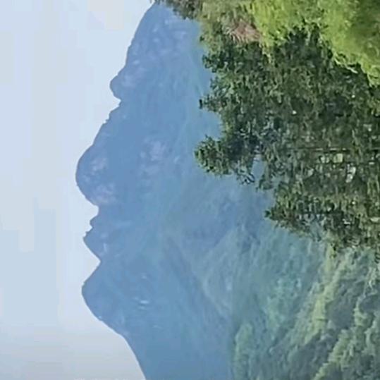云南     重庆市