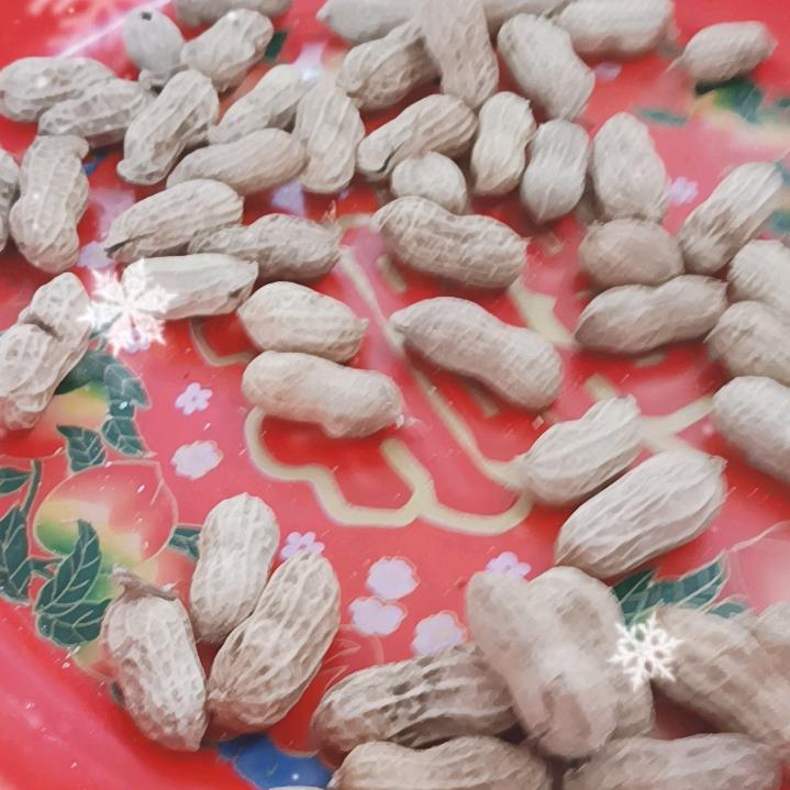 美琪