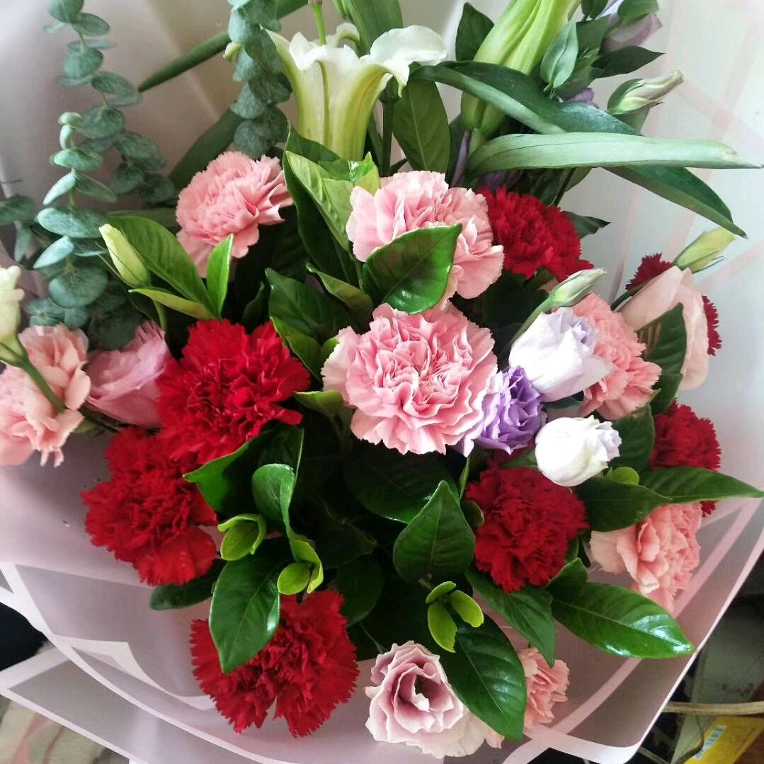 朝霞⁵²⁸⁸🌸