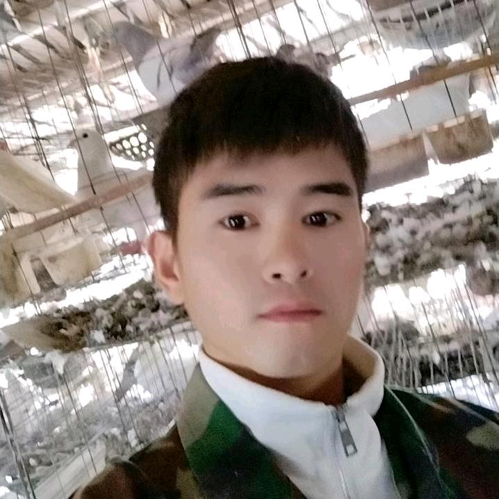 邹家肉鸽铺
