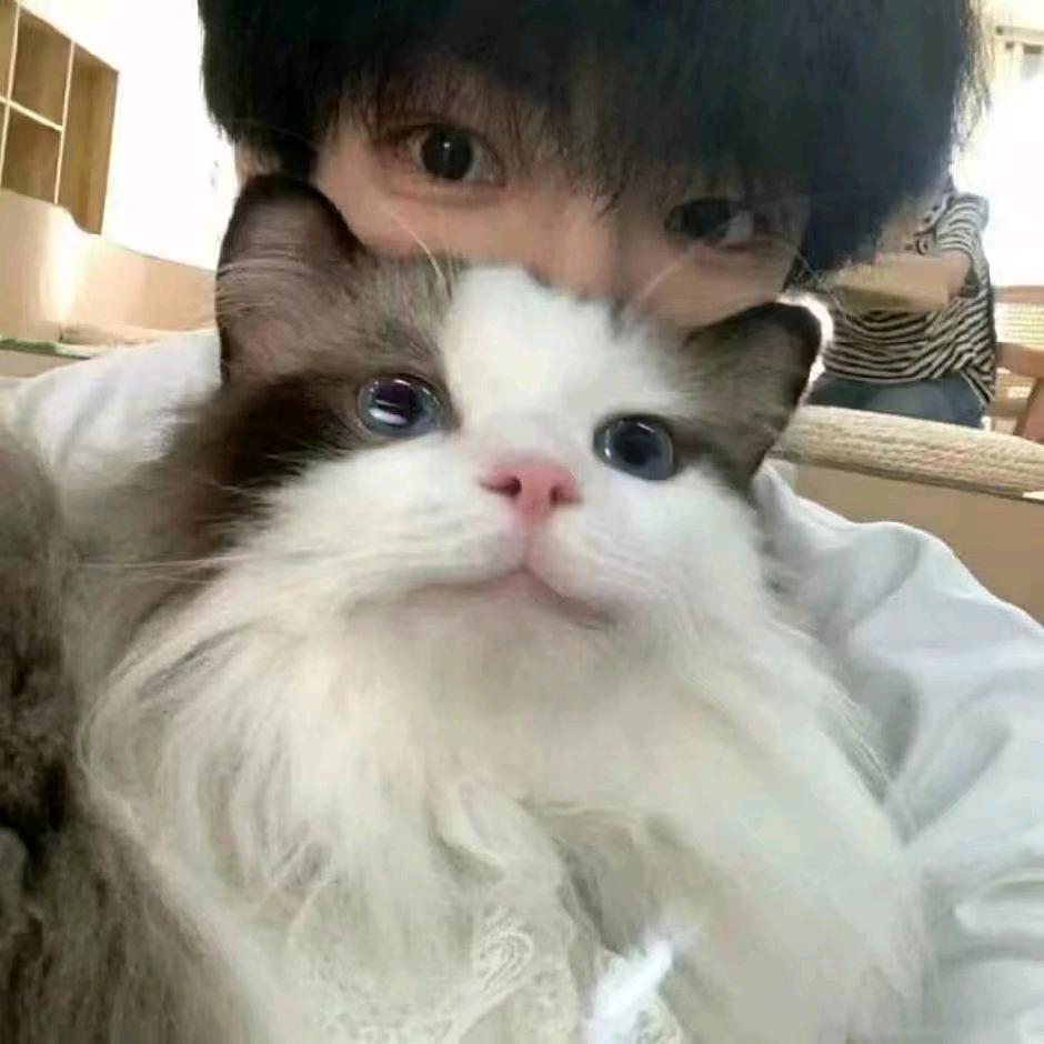 天何
