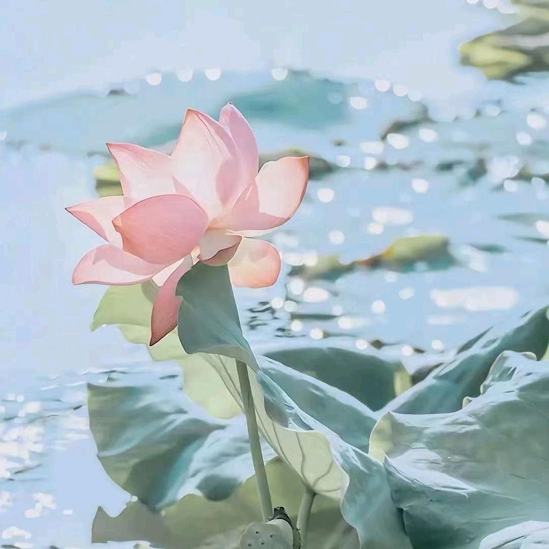 须臾