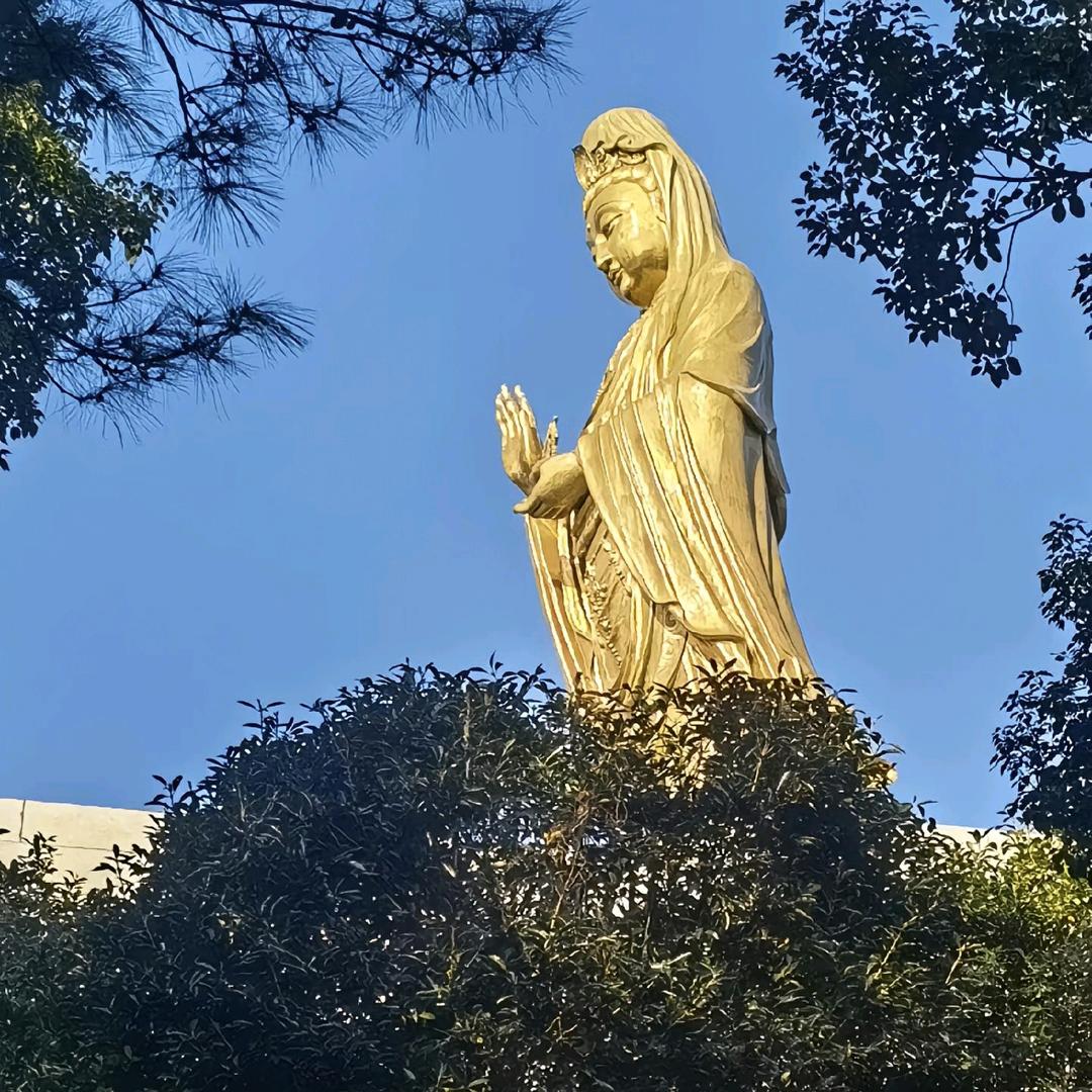 ༃大道༒至简༊