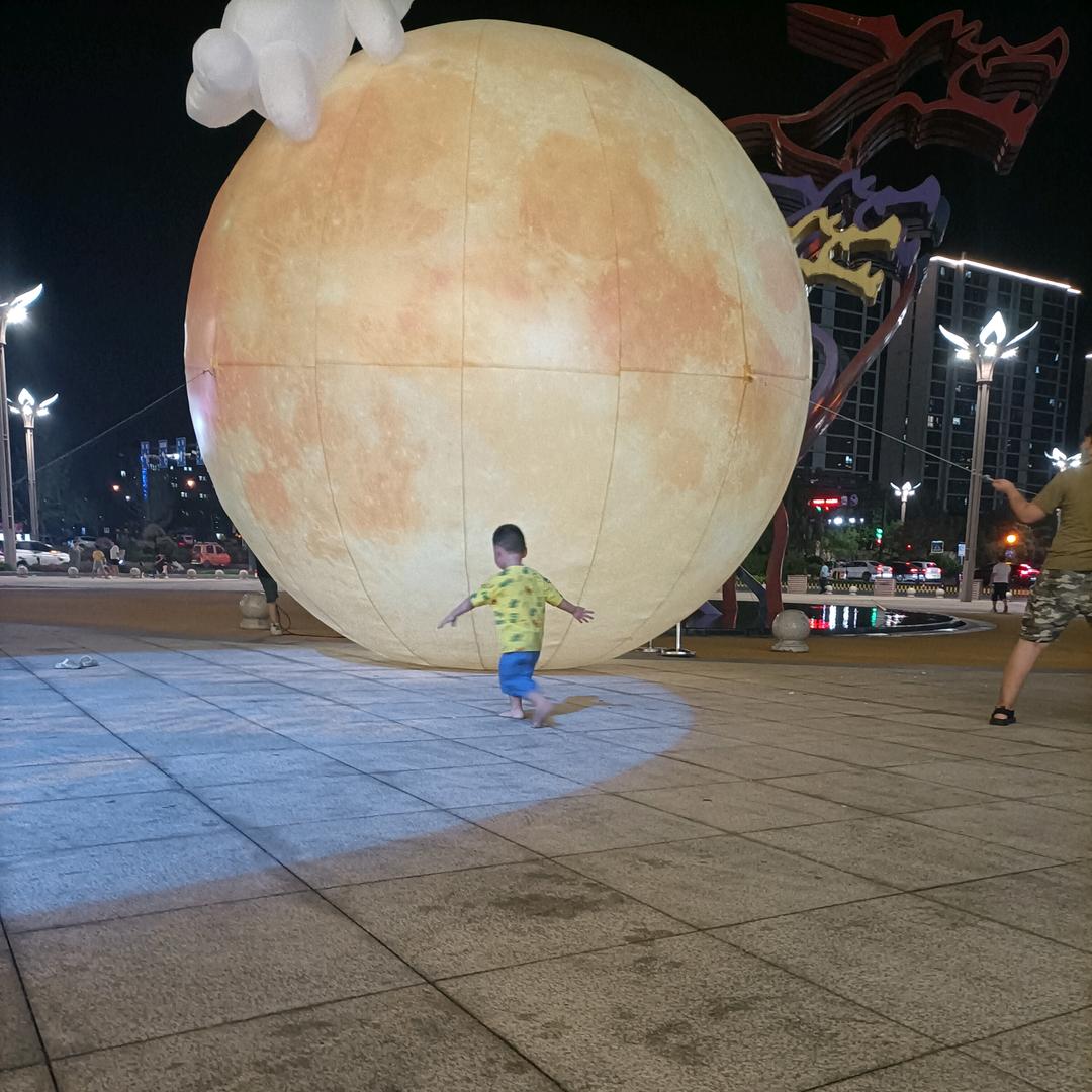 大梅子