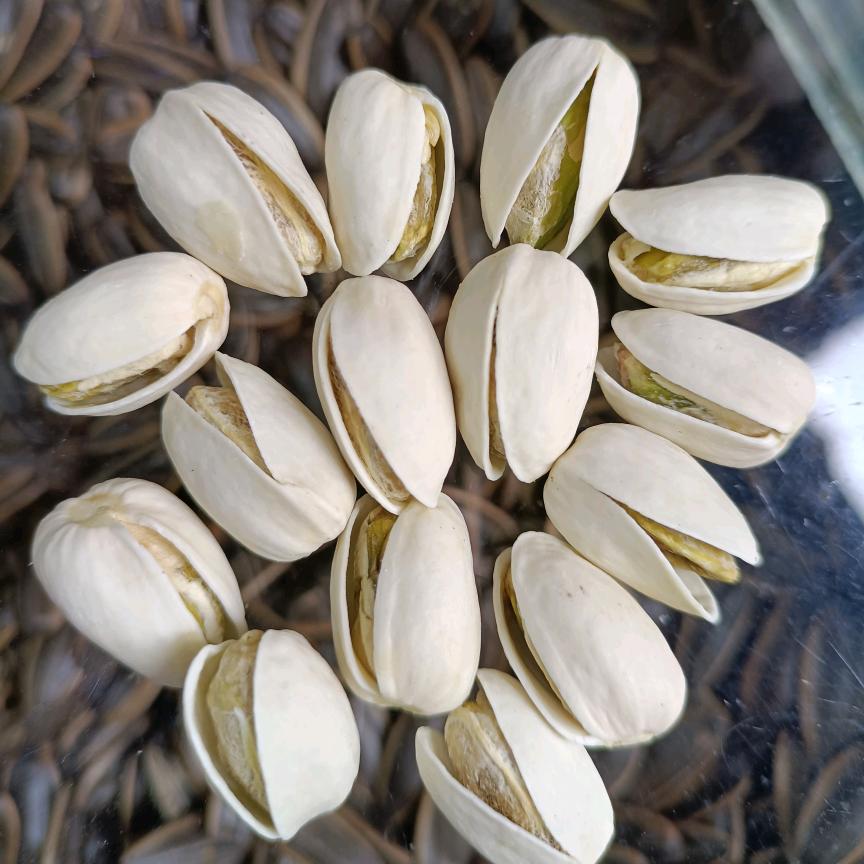 杨三