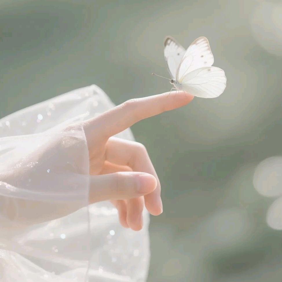 ღ᭄时光🍁浅语࿐ ོ