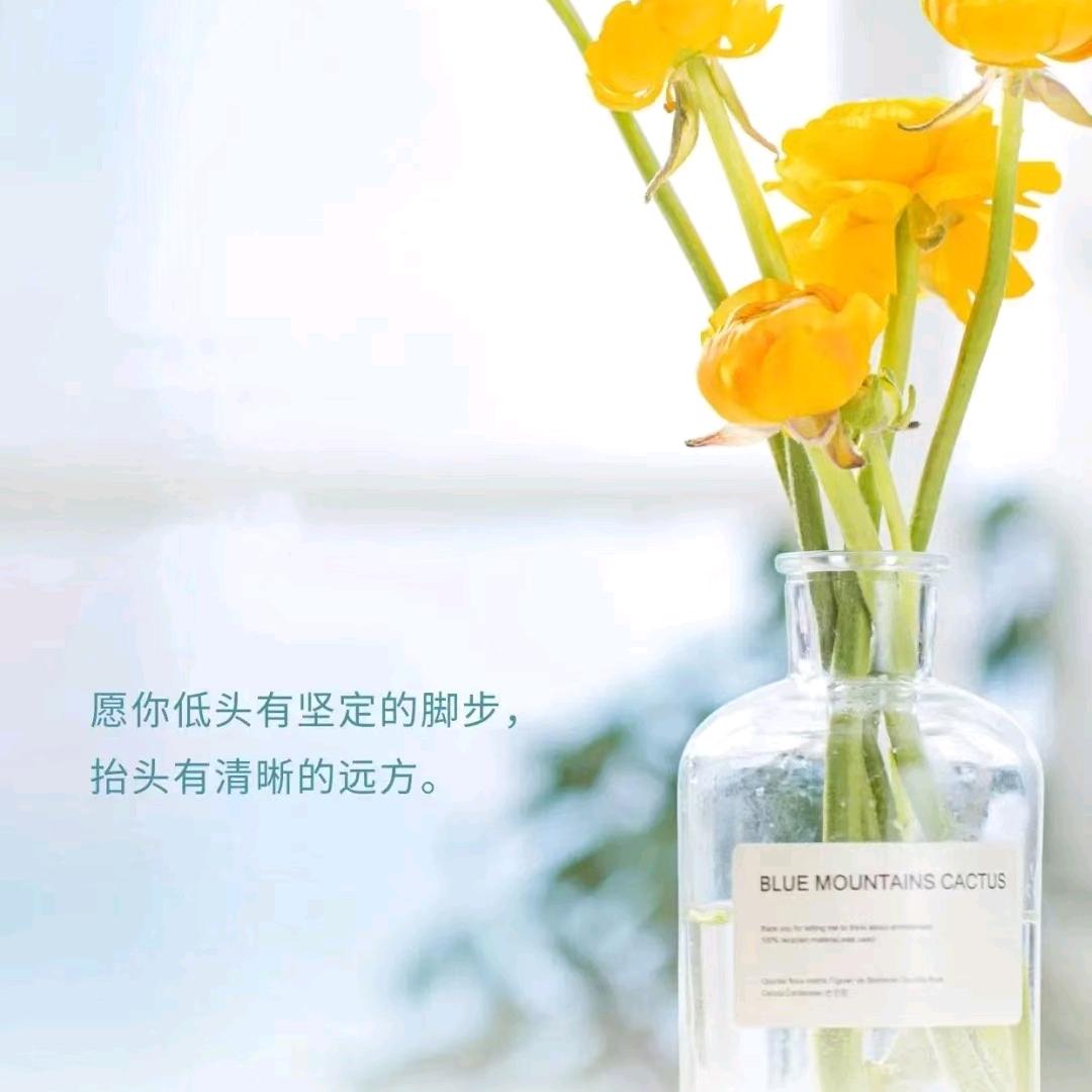 哈哈