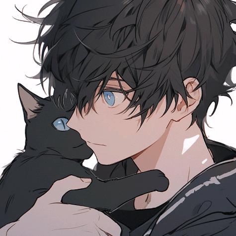 金铲铲灰猫
