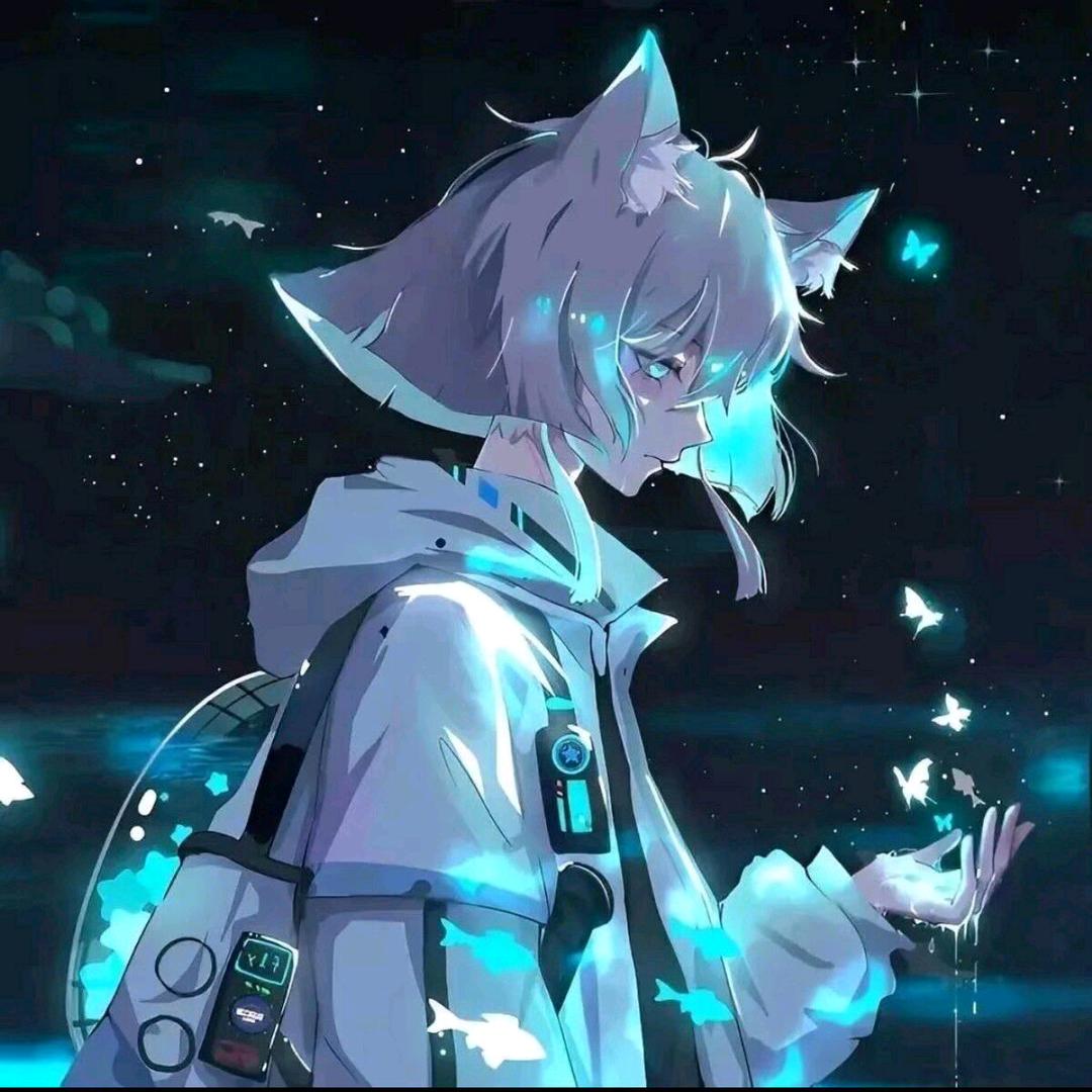 欺负小猫