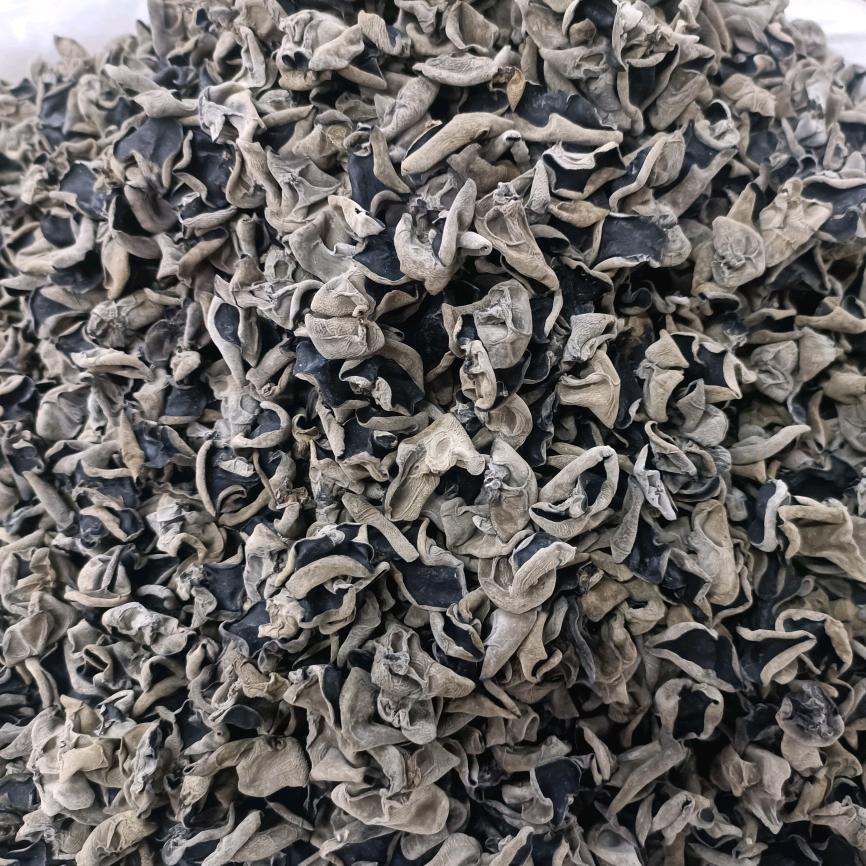 东北特产木耳姐姐