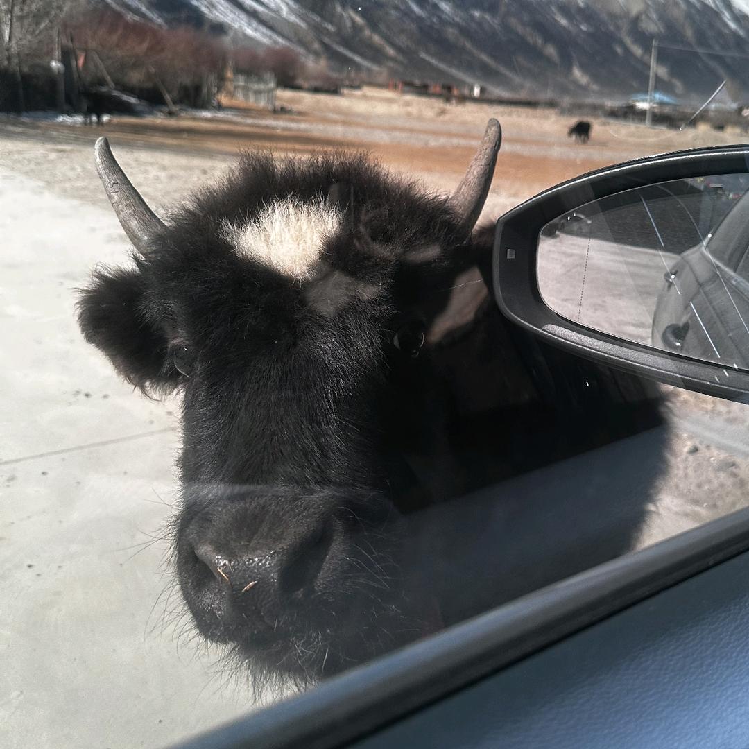 冬欣快乐妙妙屋