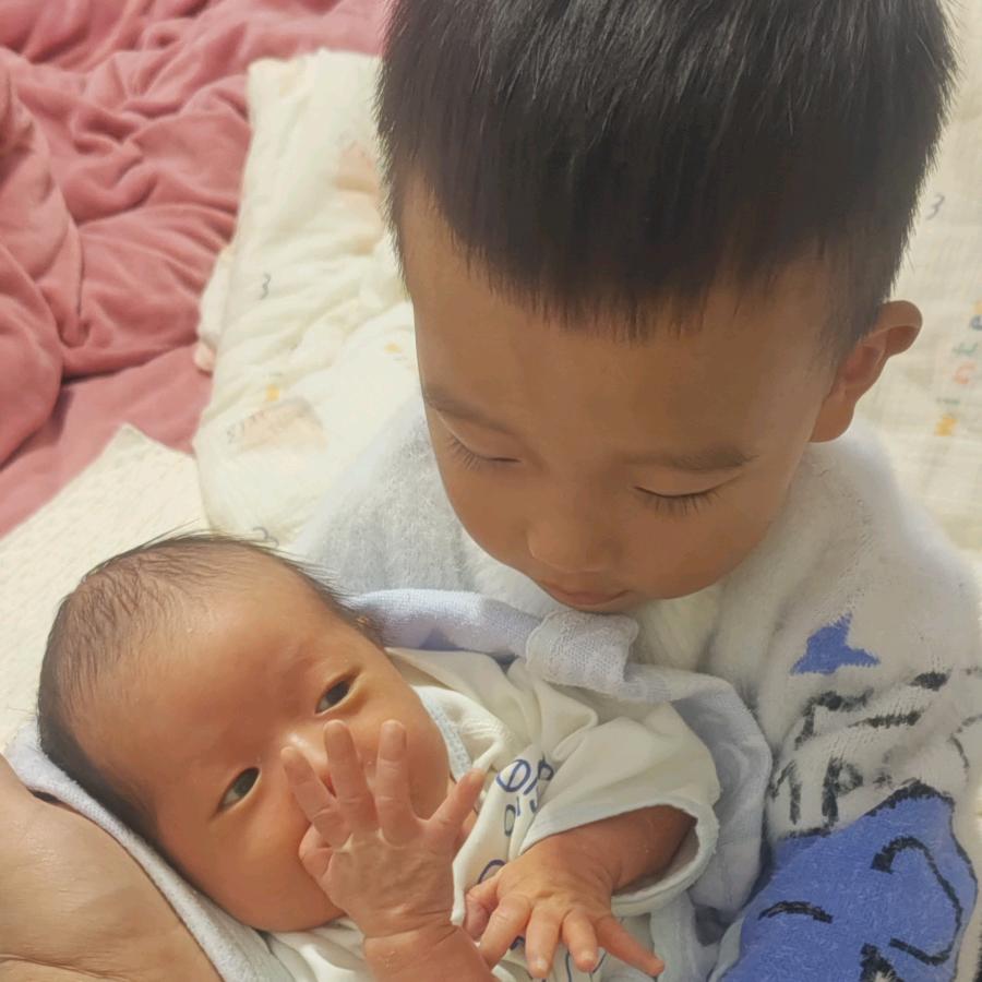 蛋儿蛋儿和肉肉