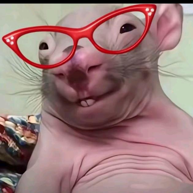 aaaaaa索尼相机批发刘哥