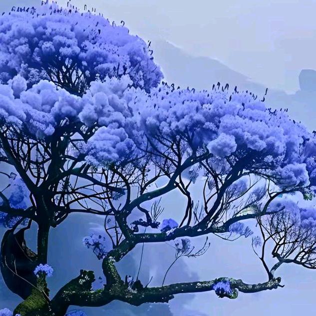 期待你的好消息