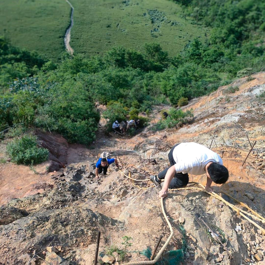 命运苦涩总是难以下咽