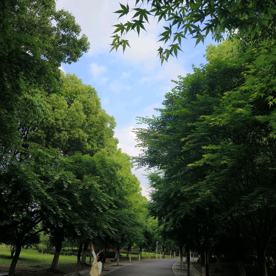敲级蛋黄酥
