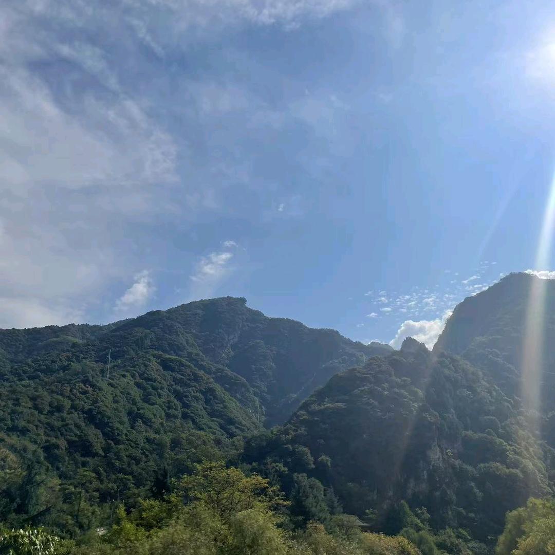 雍人逍遥