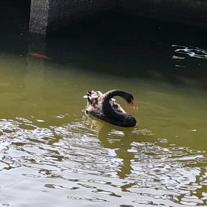 🐅¹⁹₉肖除烦恼℘࿐