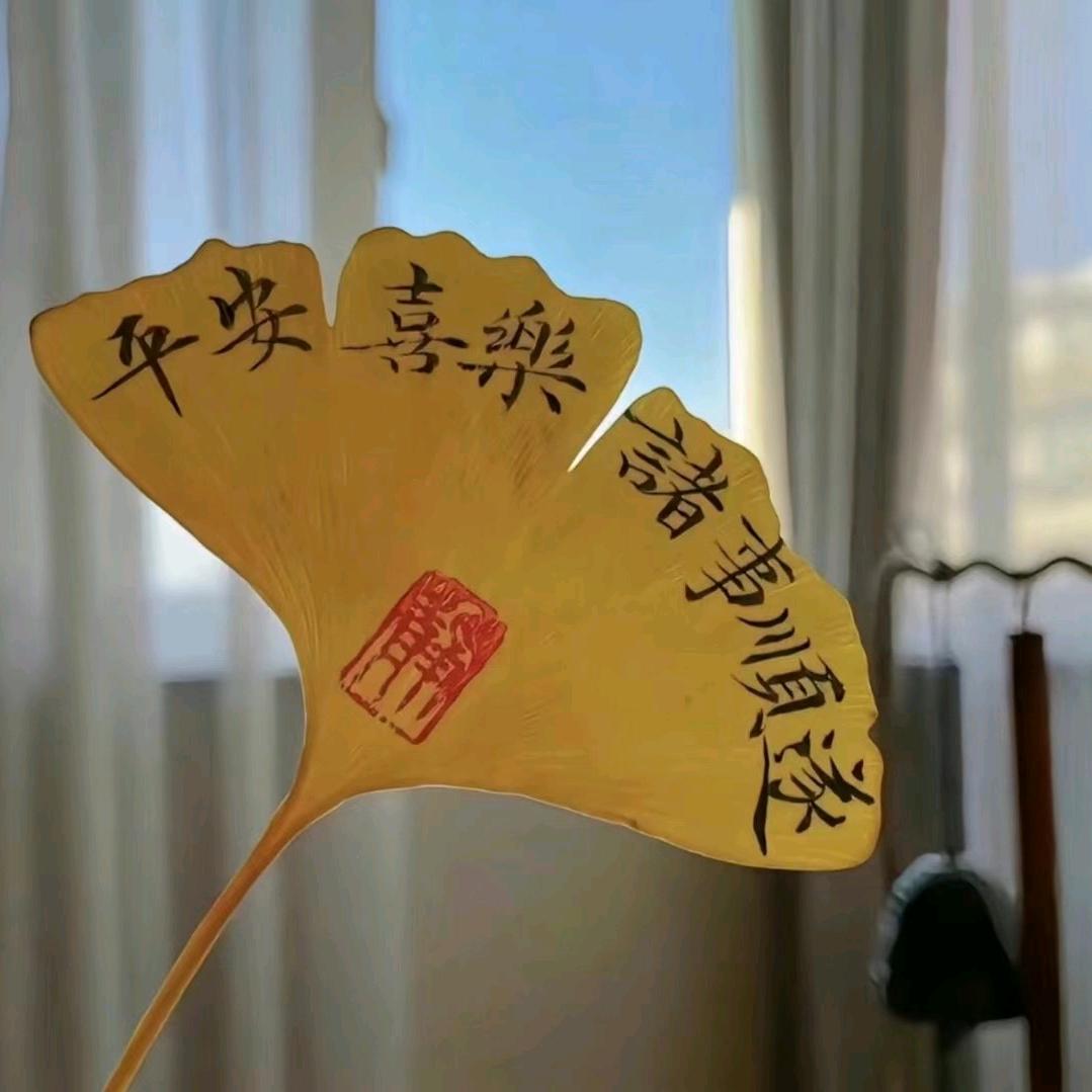 西安康源SPA