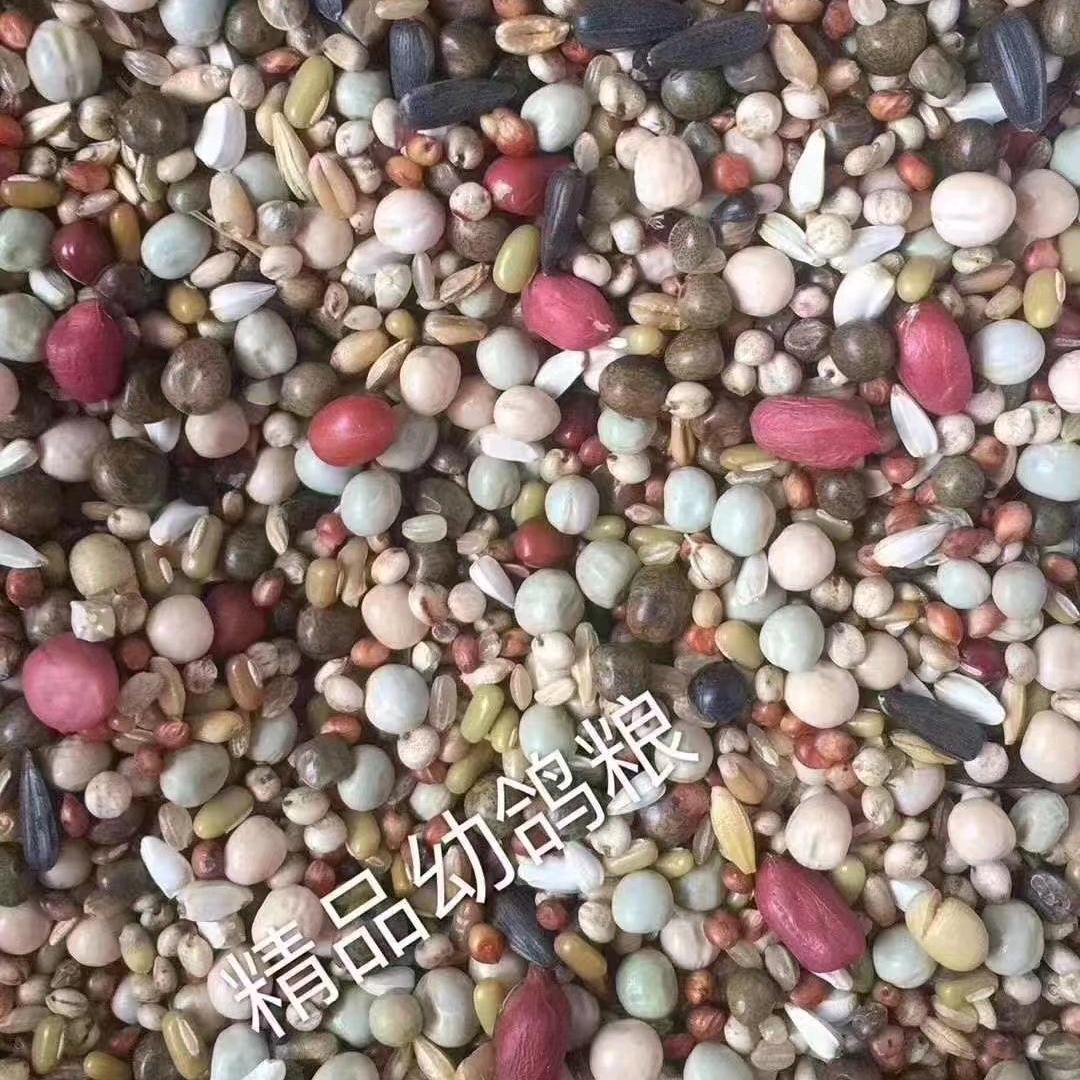 🕊️精品鸽粮🕊️零售