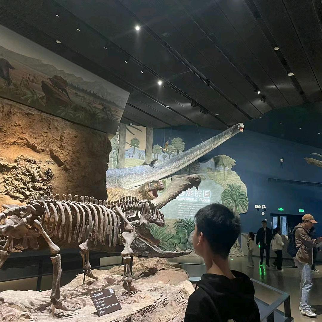 用户6777645787723常青树