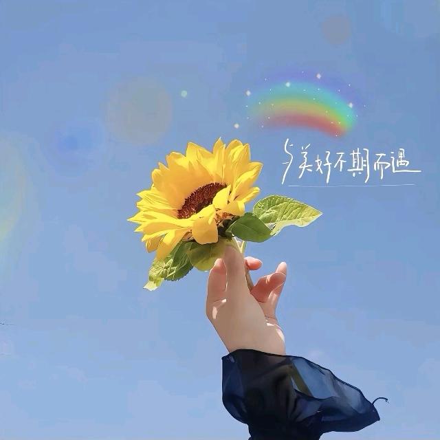 🍀喜上眉梢🍀