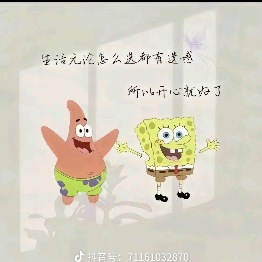 猫头鹰