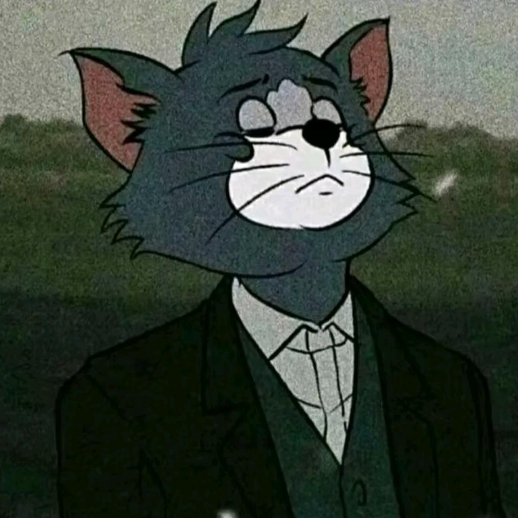 橘猫的幸福生活（三角洲跑刀）