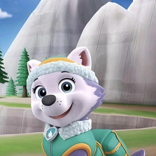 🌟☀向阳而生。