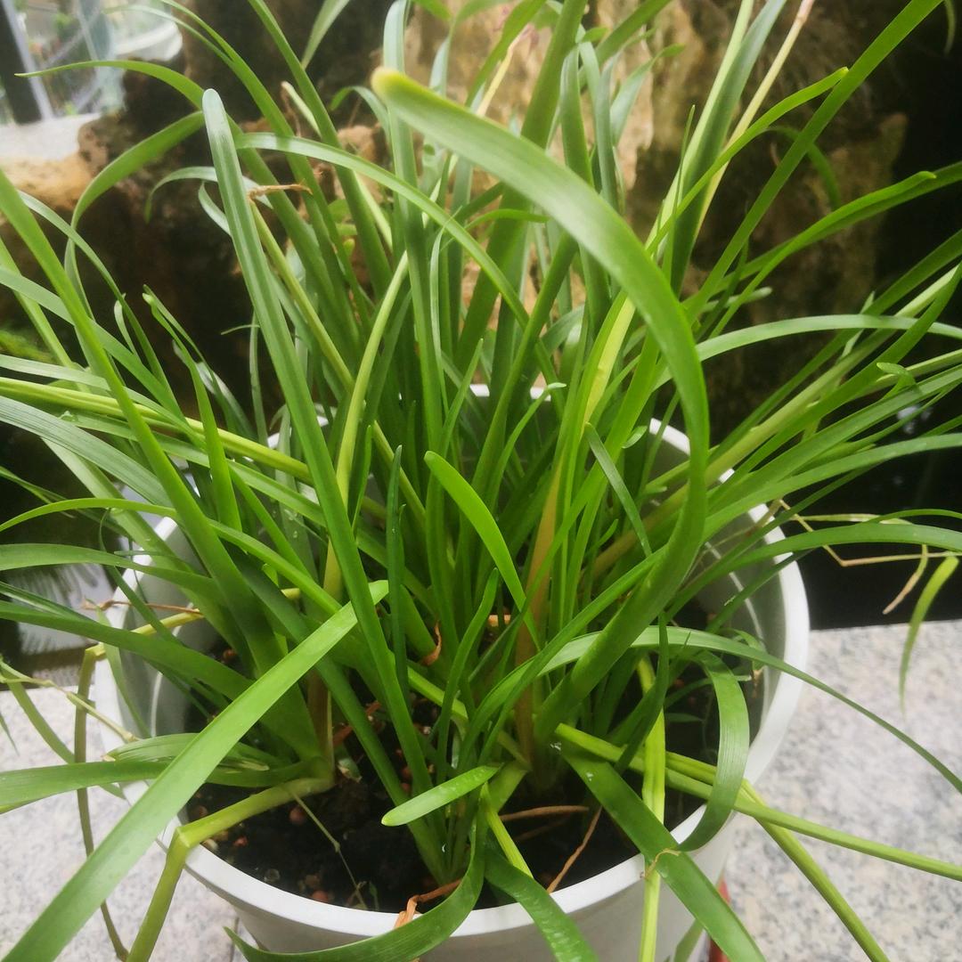 好物推荐馆