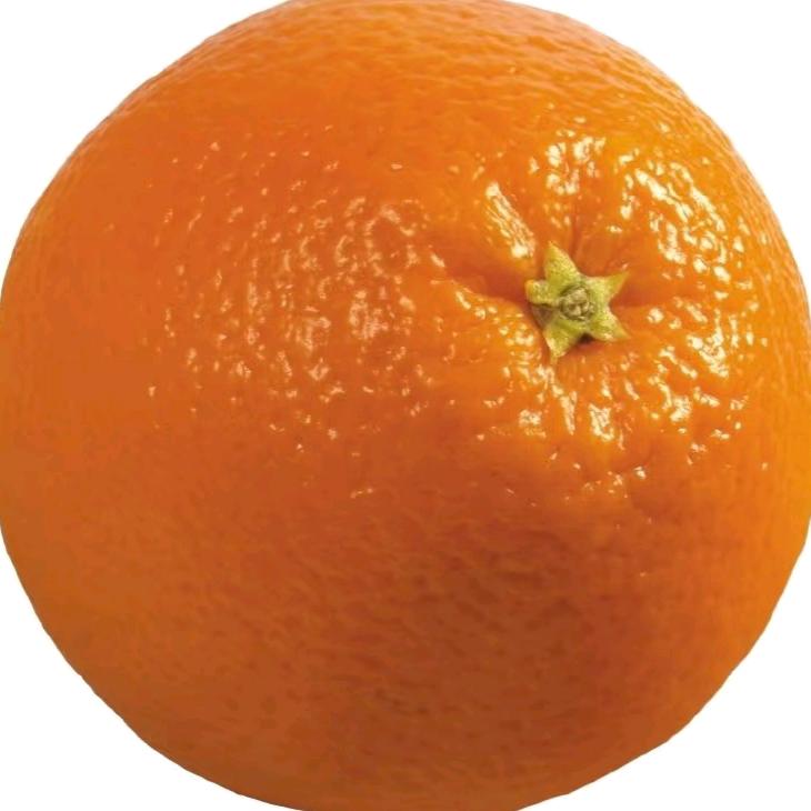 念真