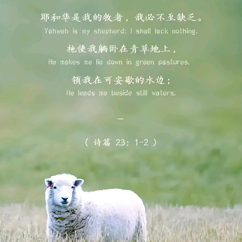每当我想起祢