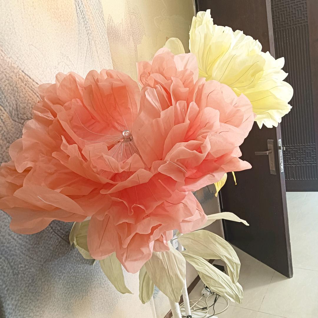 兰花