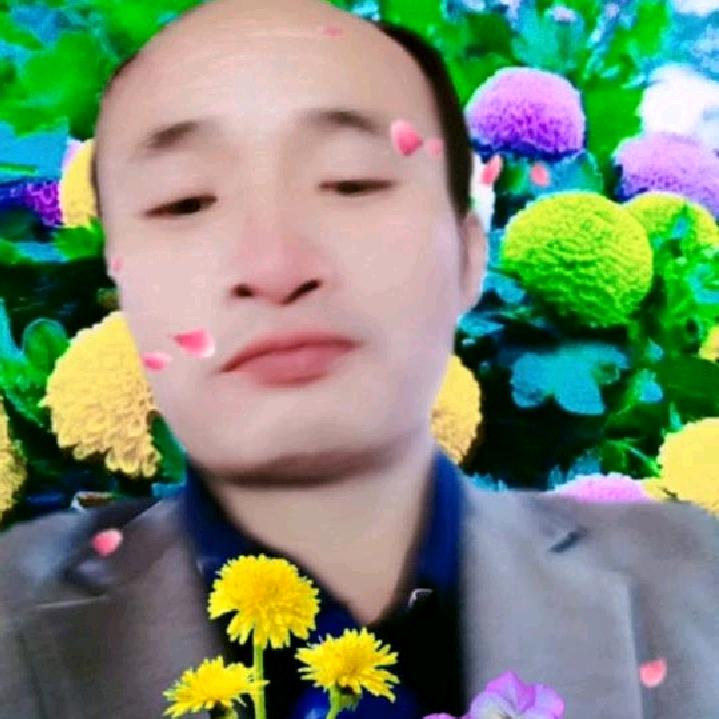 孤单人生心酸