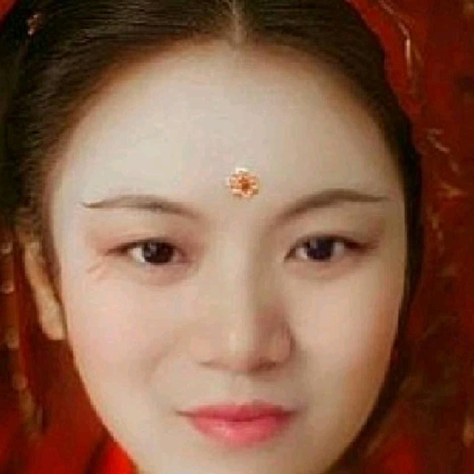 胡蝶兰
