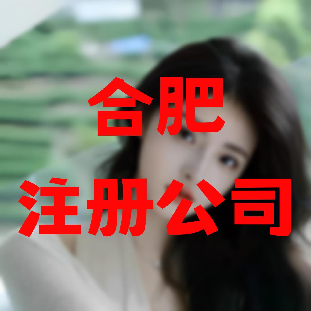 合肥鑫天财务(注册公司)