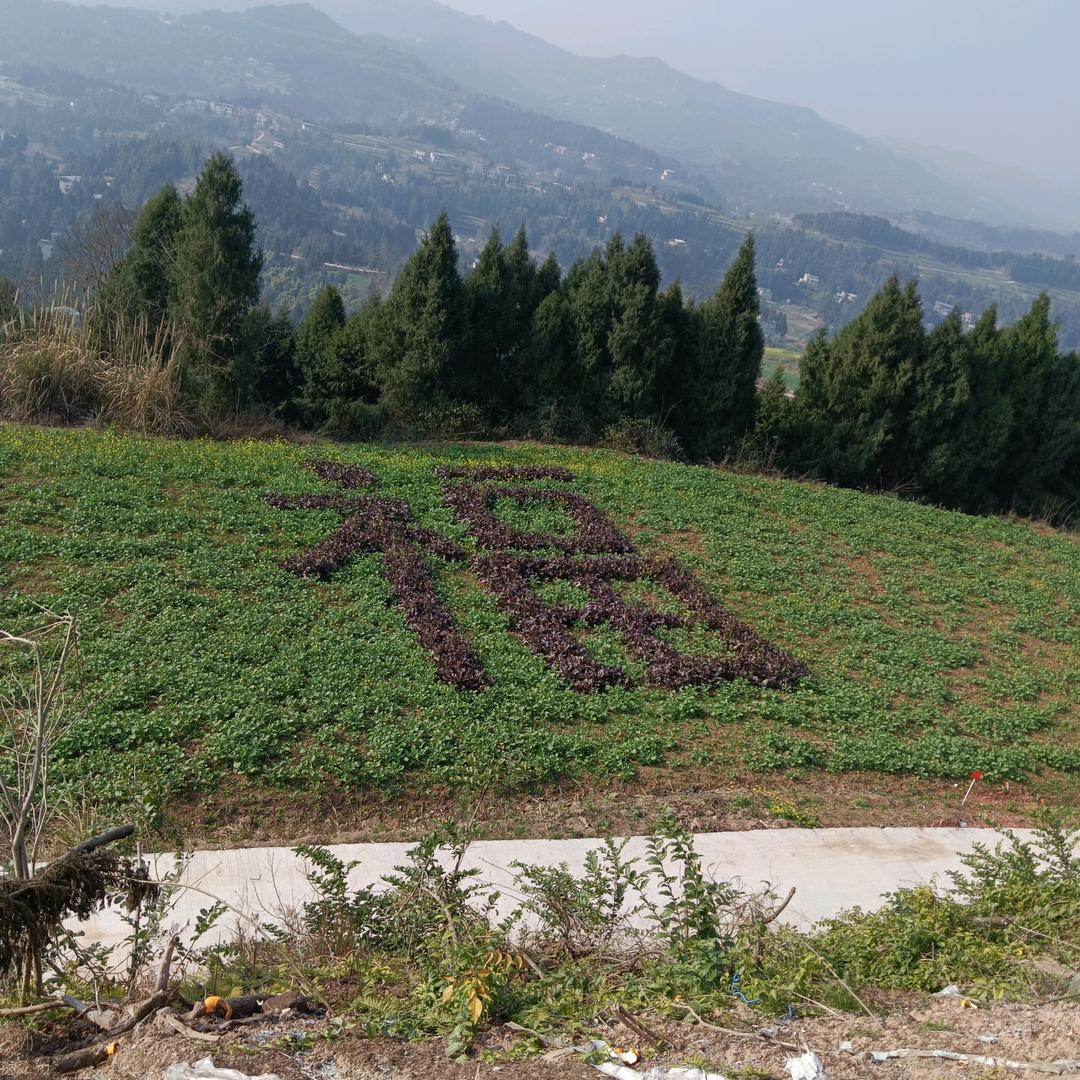 还是原来的味道