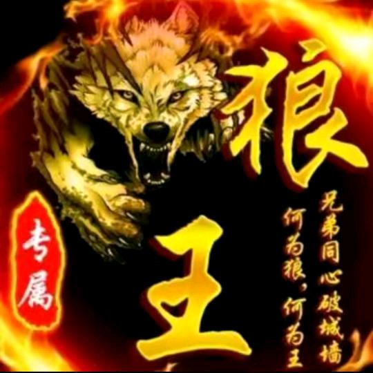 四川仁寿狼王（855）